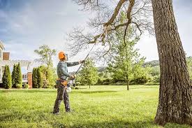 Best Hazardous Tree Removal  in Kahaluu Keauhou, HI